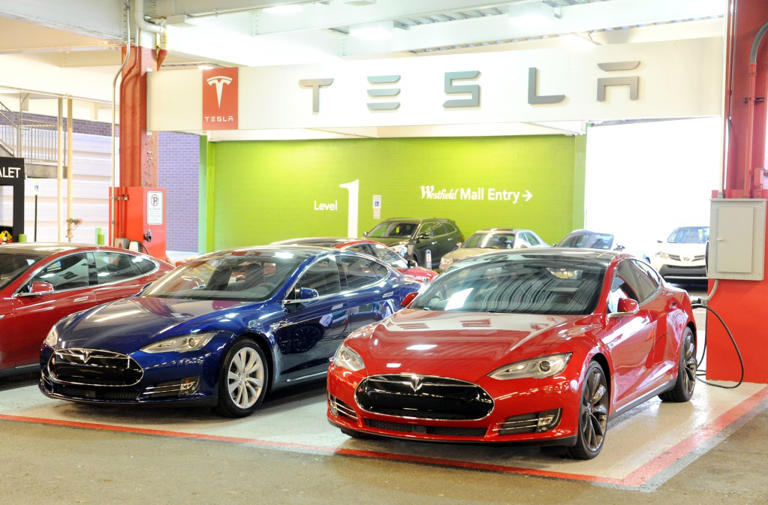 Angry Tesla owners sue Elon Musk’s automaker for misleading them about ...