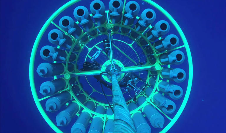 'Tis the season: Sharing resources sustains ocean microbial biodiversity