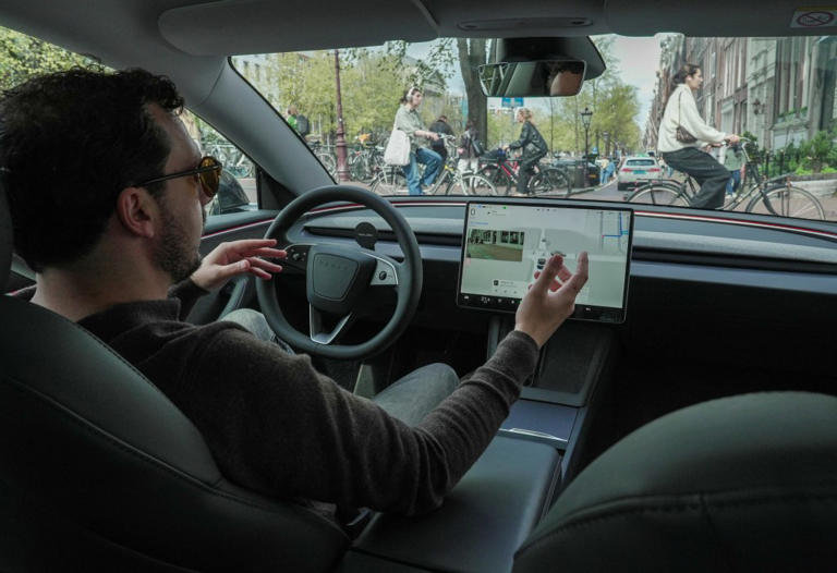 Angry Tesla owners sue Elon Musk’s automaker for misleading them about ...