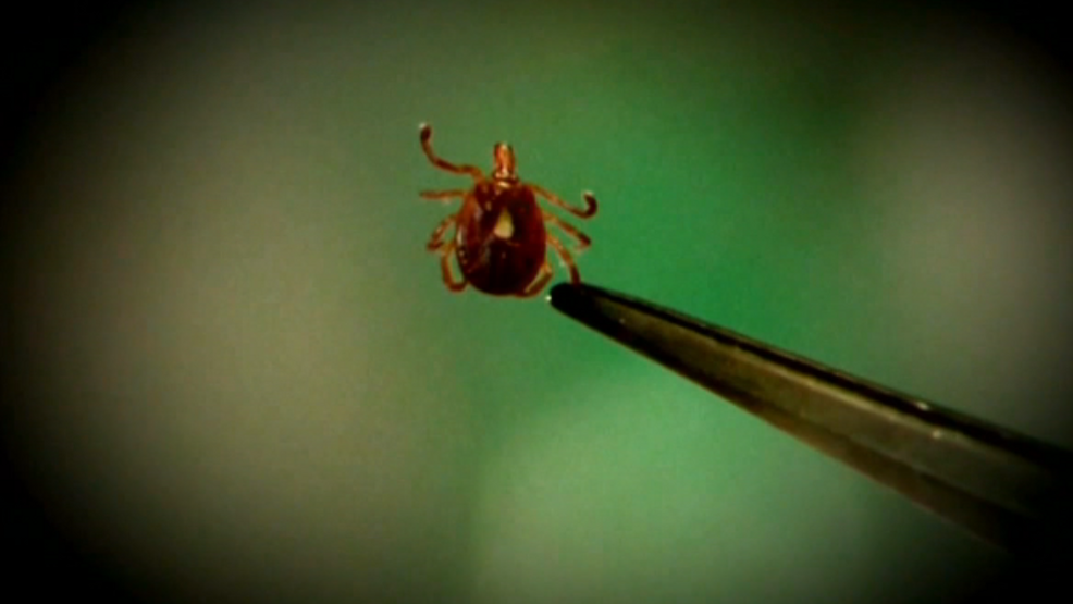 Tick season surges across the region as CDC reports record ER visits ...