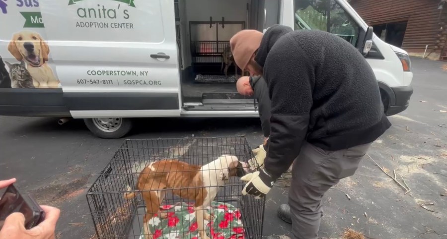 SPCA in central NY assists in suspected animal cruelty case in Hebron