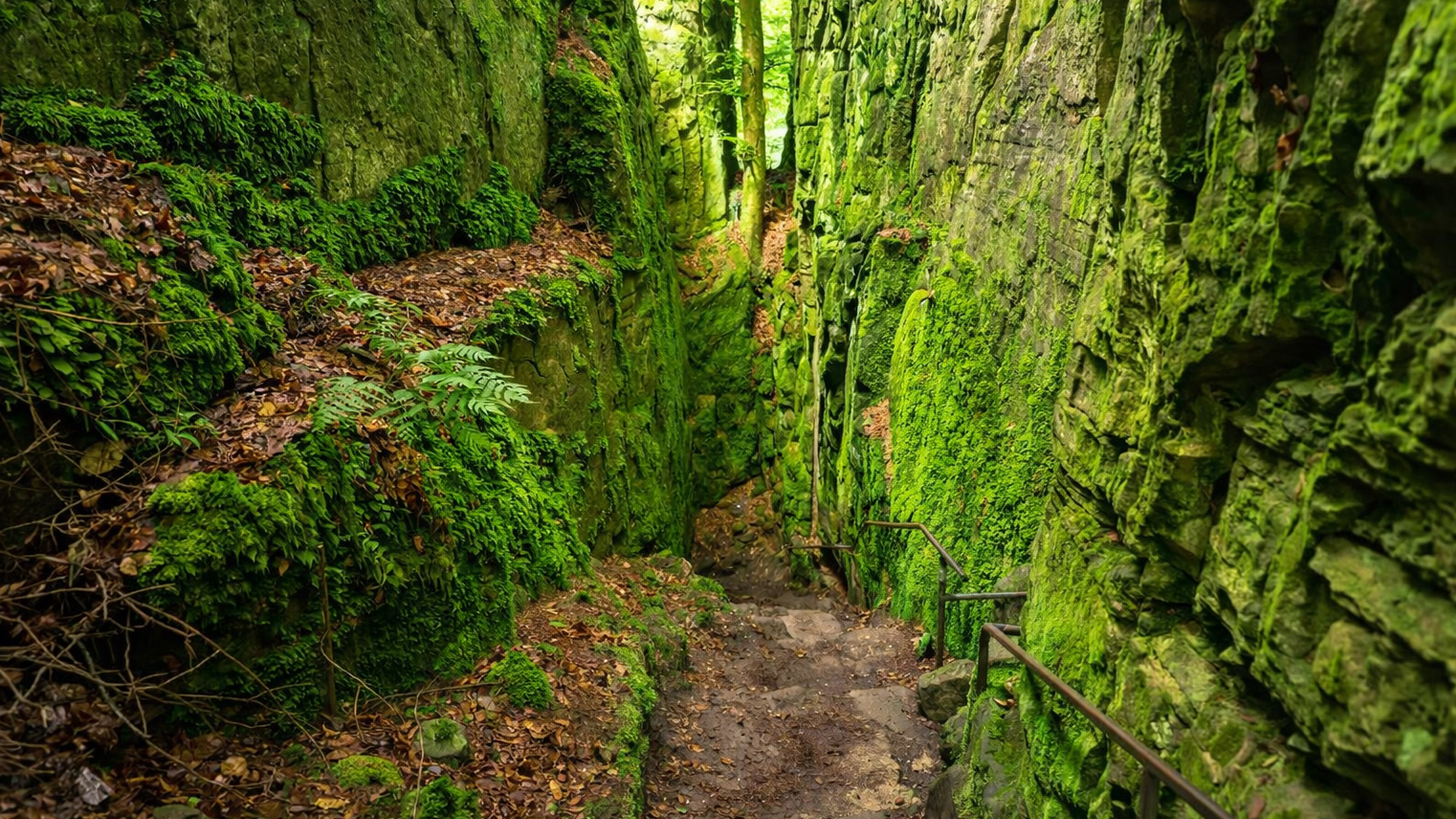 Have you seen the Devil’s Gorge like this?