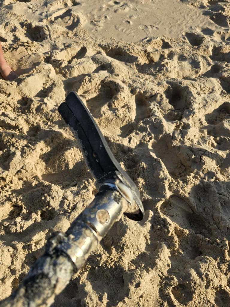 The find drew attention online after it was shared in a local community group.