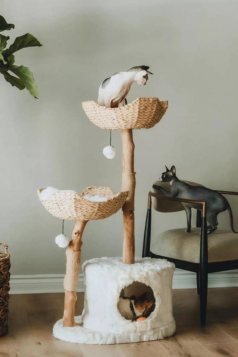 Discover Anthropologie's stylish wooden cat tree: Perfect for design ...
