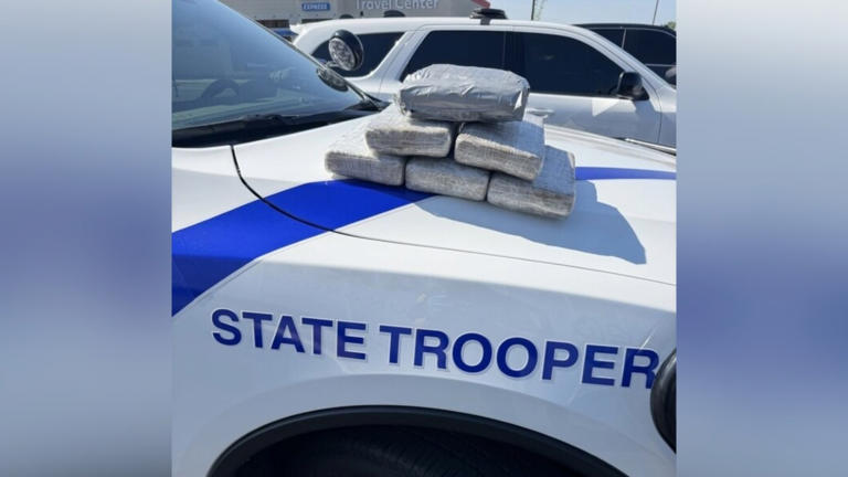 Around 13 pounds of cocaine seized during White County traffic stop