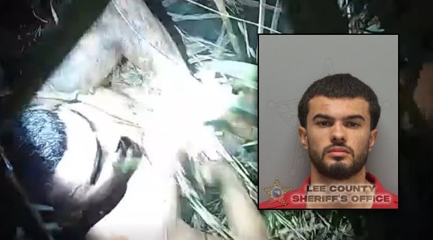 Florida high-speed chase ends in K9 struggle after motorcyclist slams ...