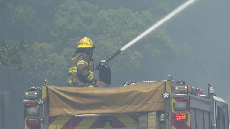 Alachua County declares state of emergency as wildfires burn in ...