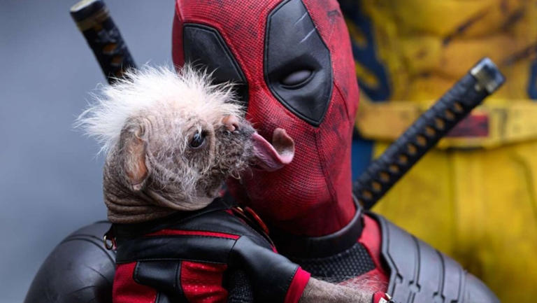 Ryan Reynolds suggests 'Deadpool' solo movies might be dead