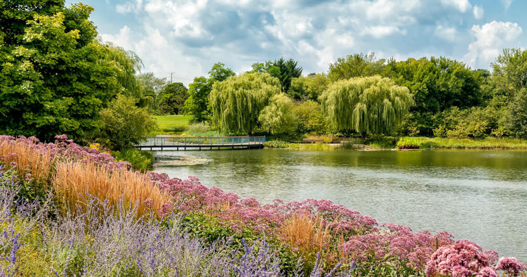 In IL, nature loss and inequality go hand in hand