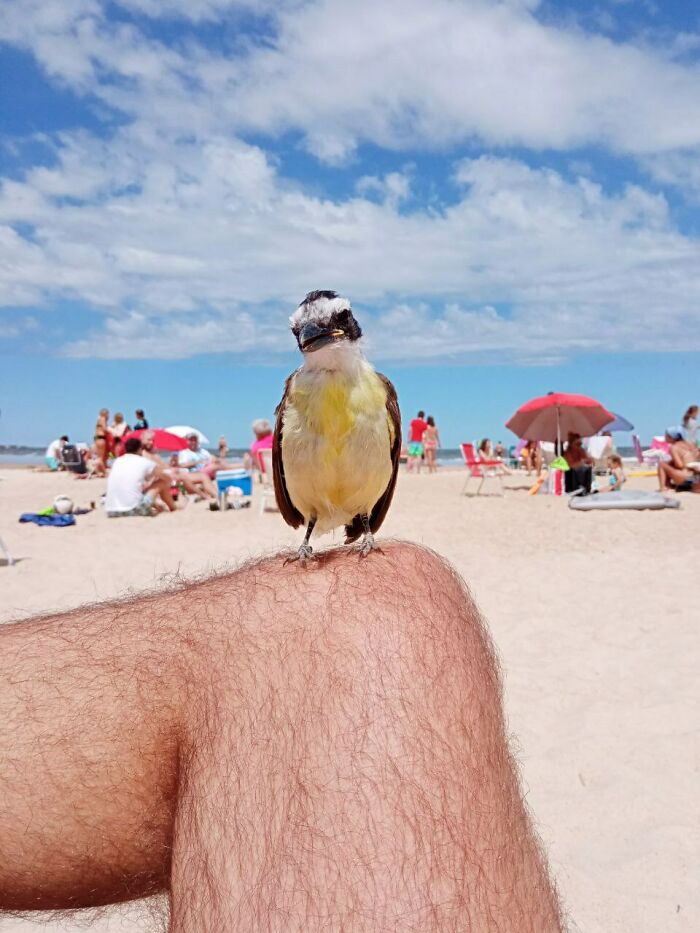 58 Unexpected Wild Animal Encounters That Caught People Off Guard
