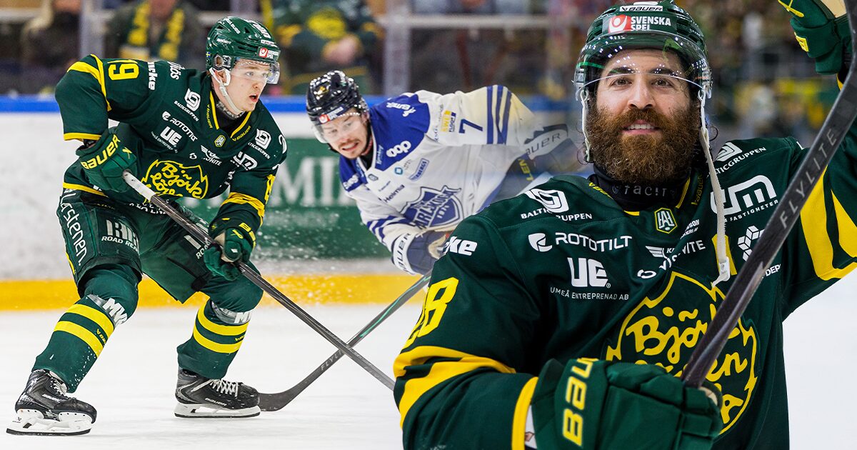 Sverige borde bry sig mer om hockeyallsvenskan än SM-finalen