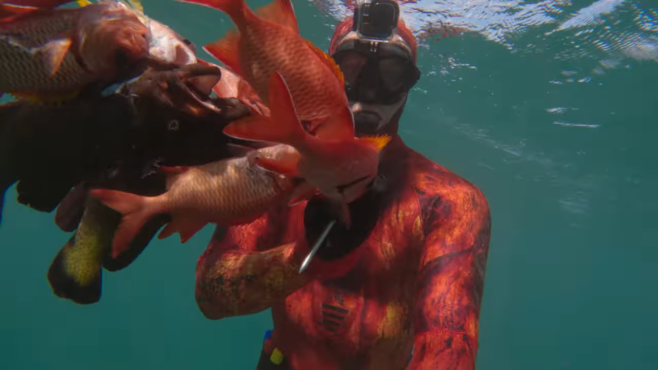 We came for fish - then something bigger hit