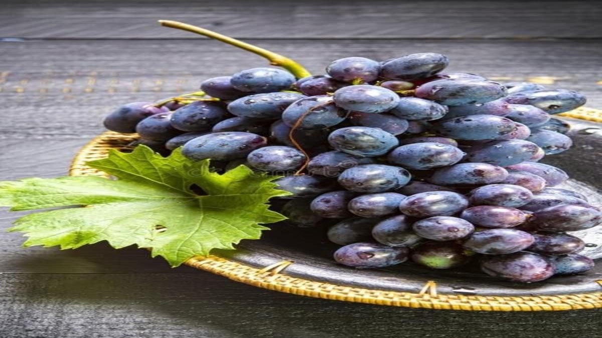 The bite-sized superfood backed by science: Why grapes may boost muscle ...