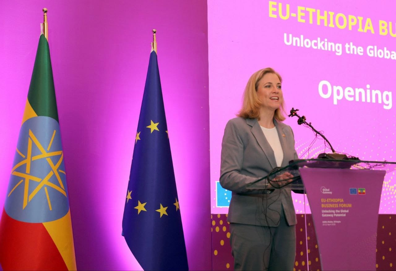 Austria-Ethiopia economic partnership growing: Minister Reisinger