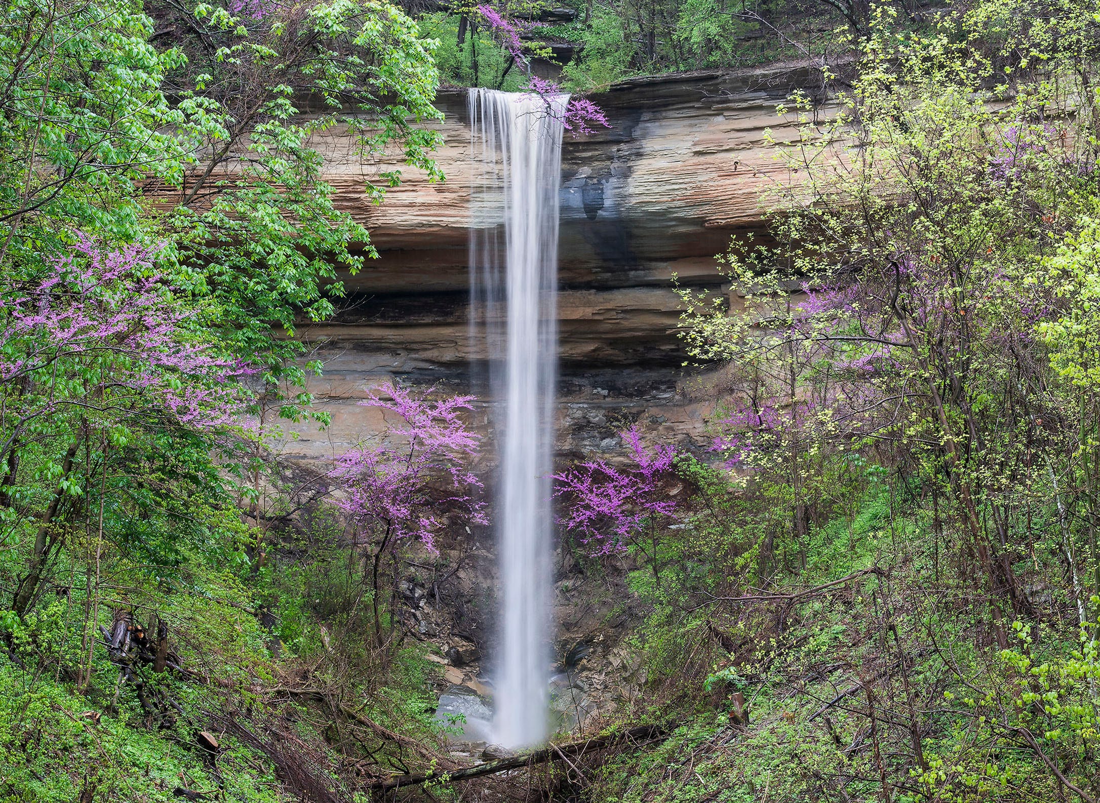 World Atlas names 7 must‑see natural wonders in Alabama