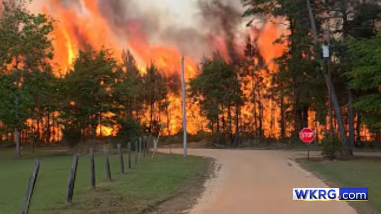McIntosh fire: 800 acres scorched, officials say