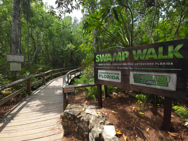 New educational signs at Gatorland highlight importance of swamps
