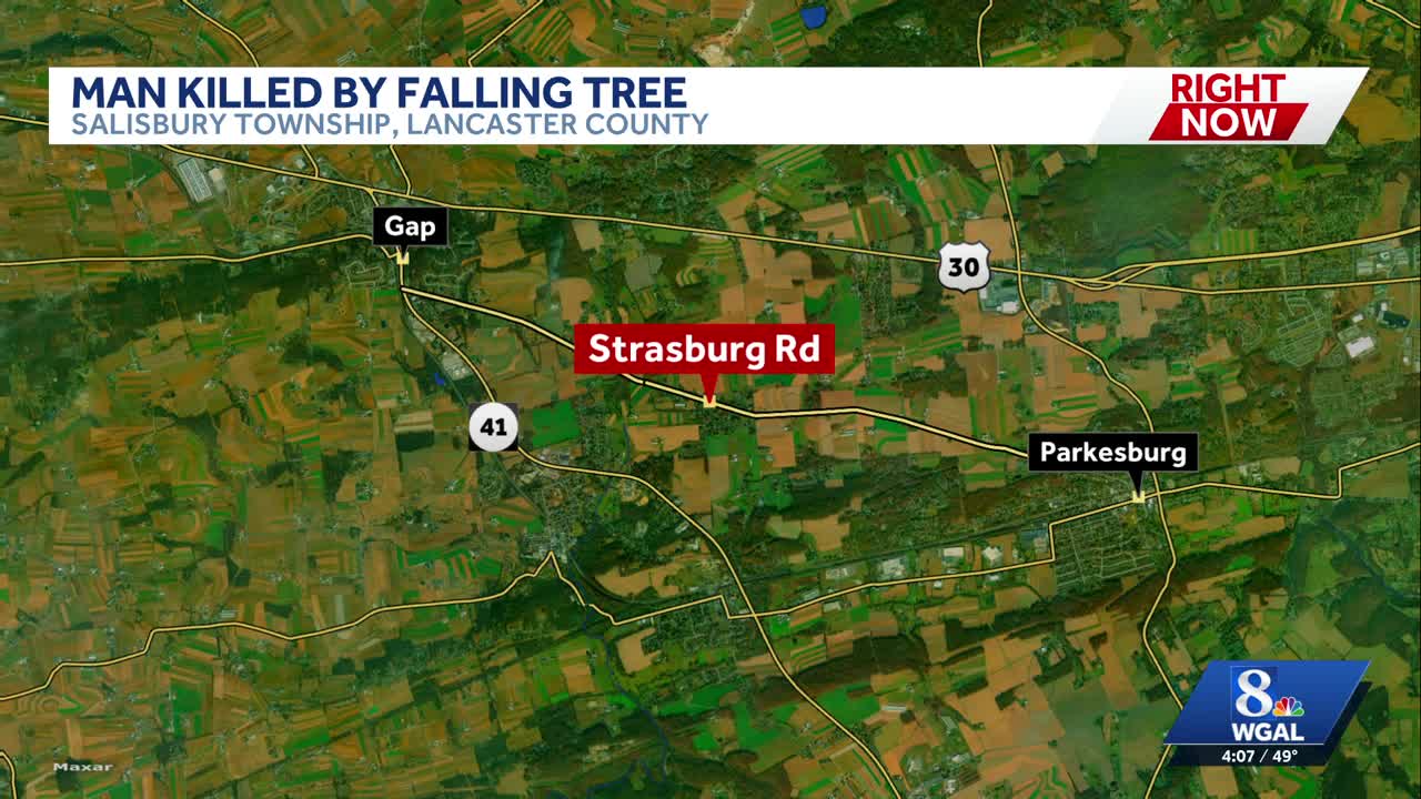 Lancaster County coroner identifies man killed by fallen tree in backyard