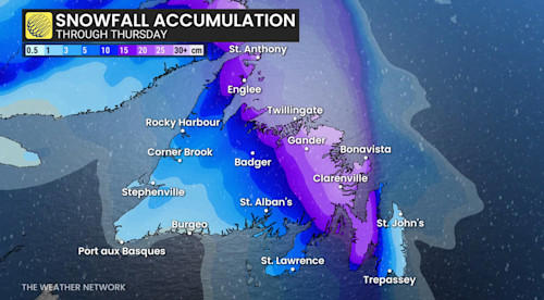 Multi-day ice and snow threat in Newfoundland could cause power, travel ...