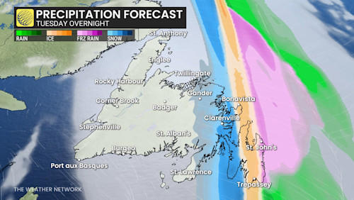 Multi-day ice and snow threat in Newfoundland could cause power, travel ...