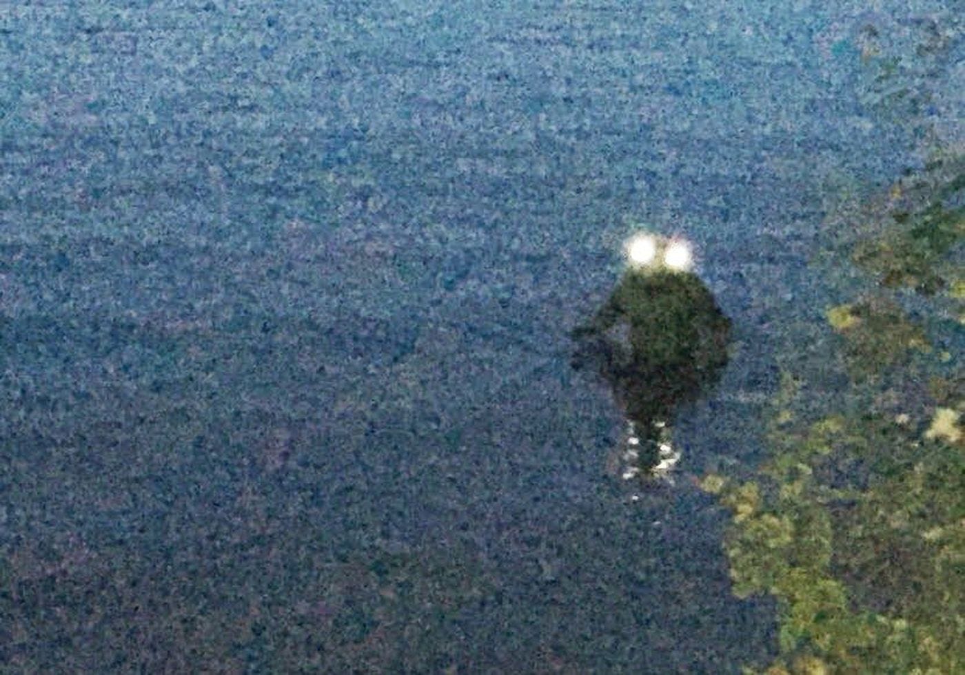 This mysterious creature could become Ohio's official cryptid