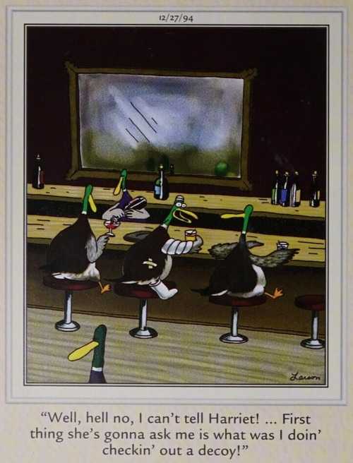 Ducks sit at a bar. One is bandaged and mentions a decoy involved.