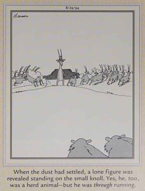 One antelope stands his ground as his herd runs from approaching predators.