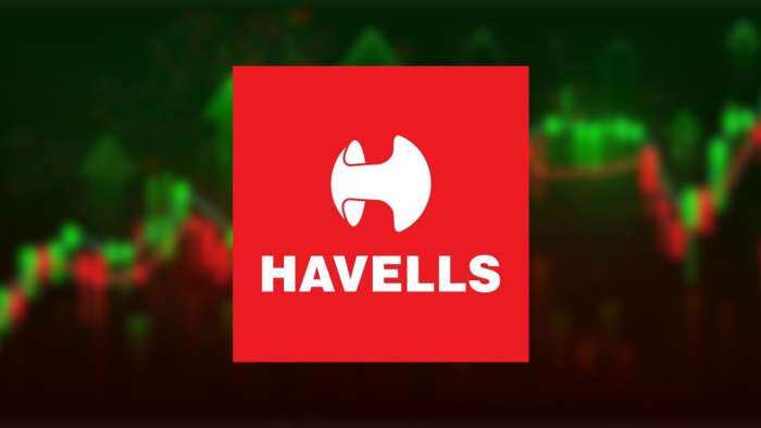 Havells India Q4 preview: Margin pressure, weak demand may hit profit; final dividend in focus
