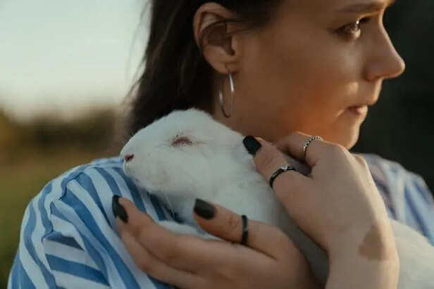 Why small pets like rabbits and hamsters need special care