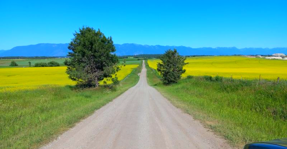20 American counties with the prettiest backroads