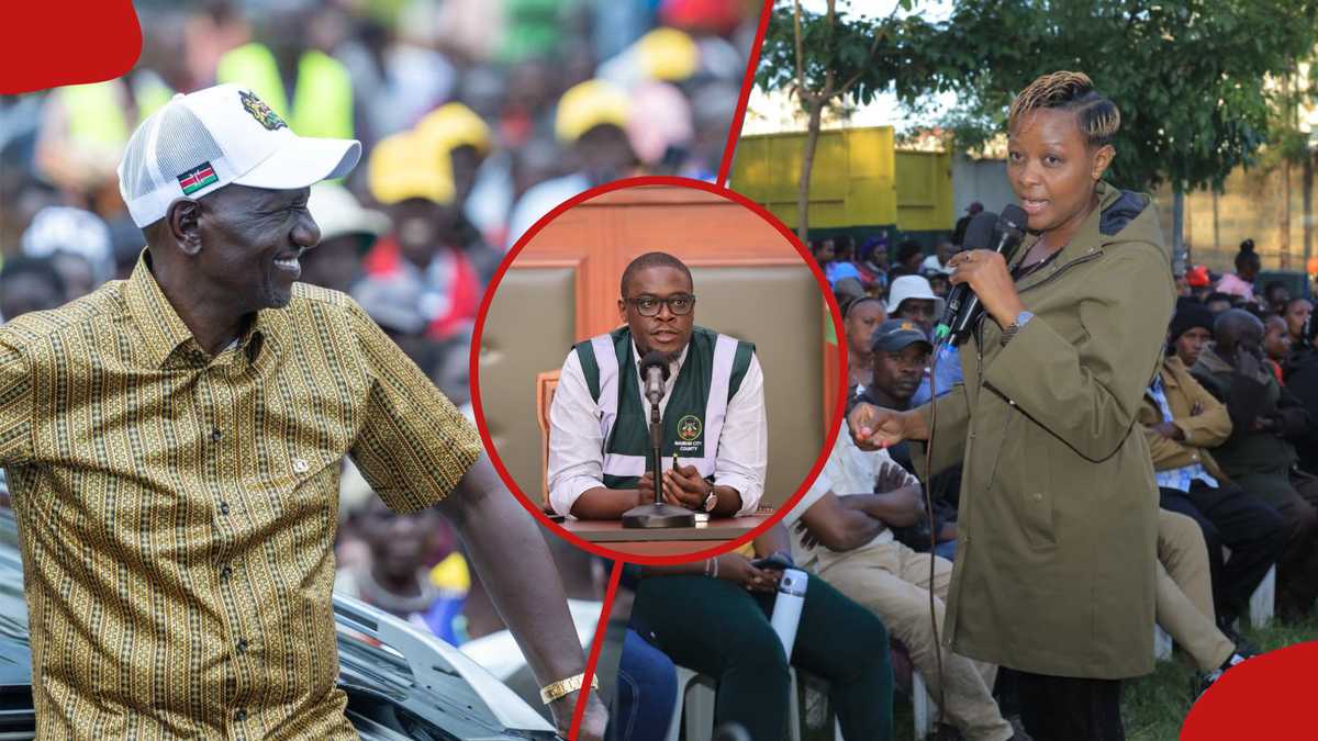 MCA Waithera Chege urges Ruto to rescue Nairobi from Sakaja's ...