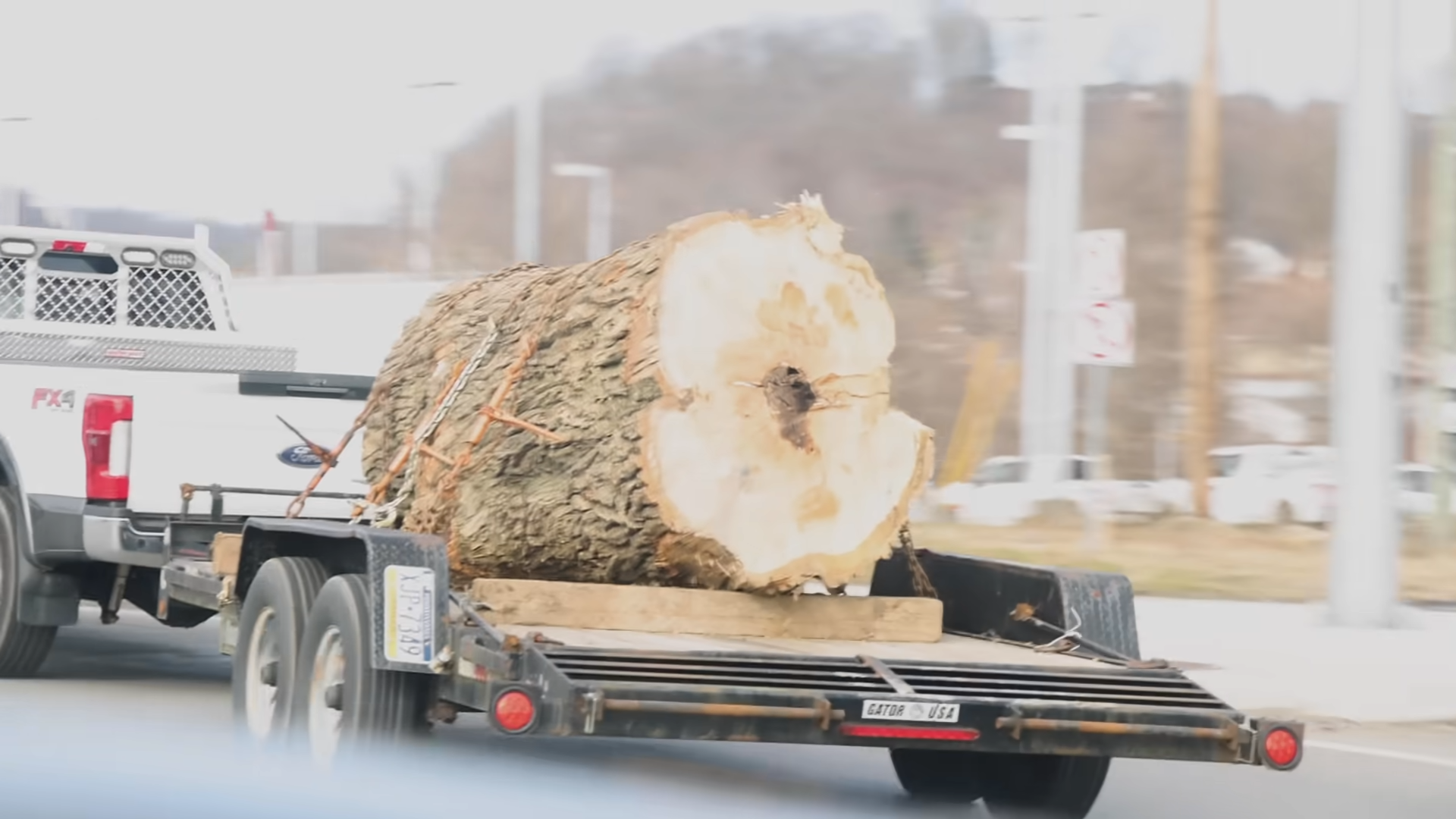 We stole a massive oak log - then tried to slab it with pure stupidity