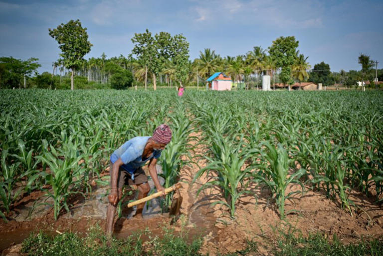 As Iran crisis drags on, fears of global food crisis grow