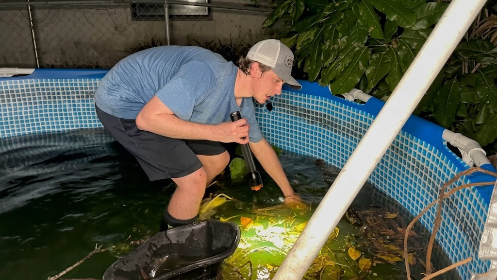 He thought the swimming pool was empty when a giant fish grabbed him ...