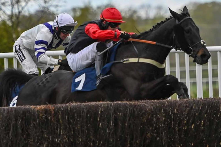 Kelso racehorse trainer Sandy Thomson keeps up winning streak at home ...