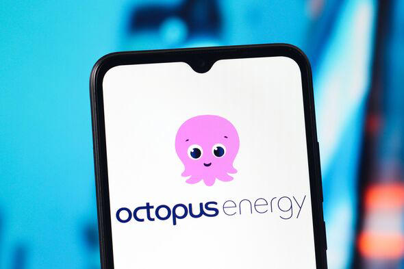 Octopus Energy to open 'biggest ever' property site with 'no energy ...