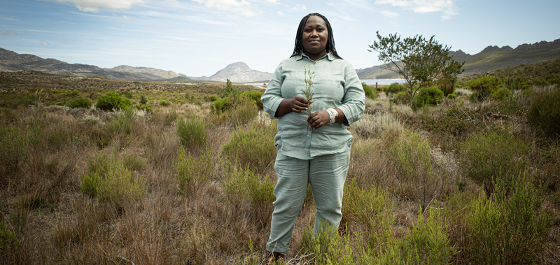SAB highlights South African women restoring Western Cape water systems ...