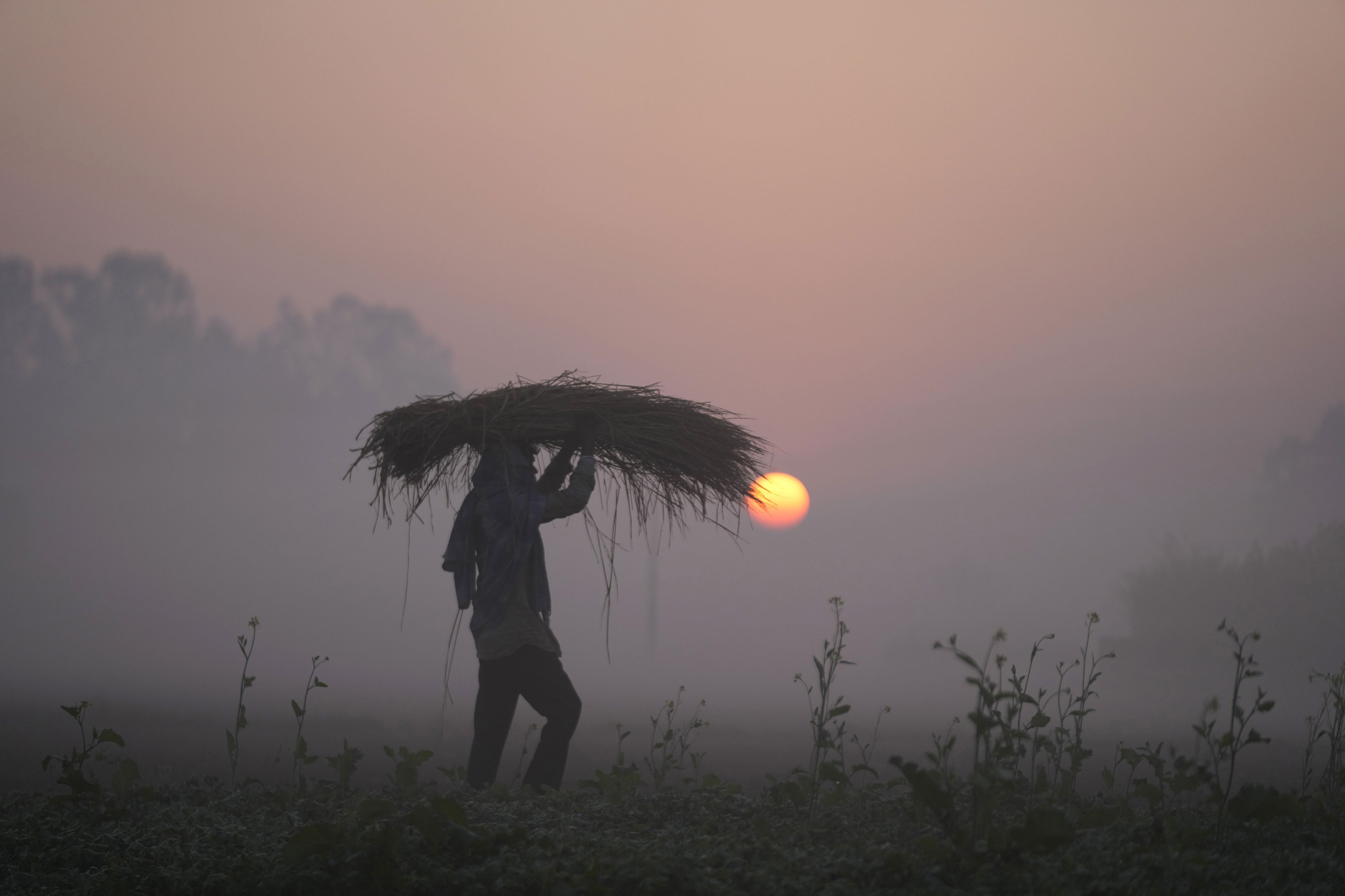 As Iran crisis drags on, fears of global food crisis grow