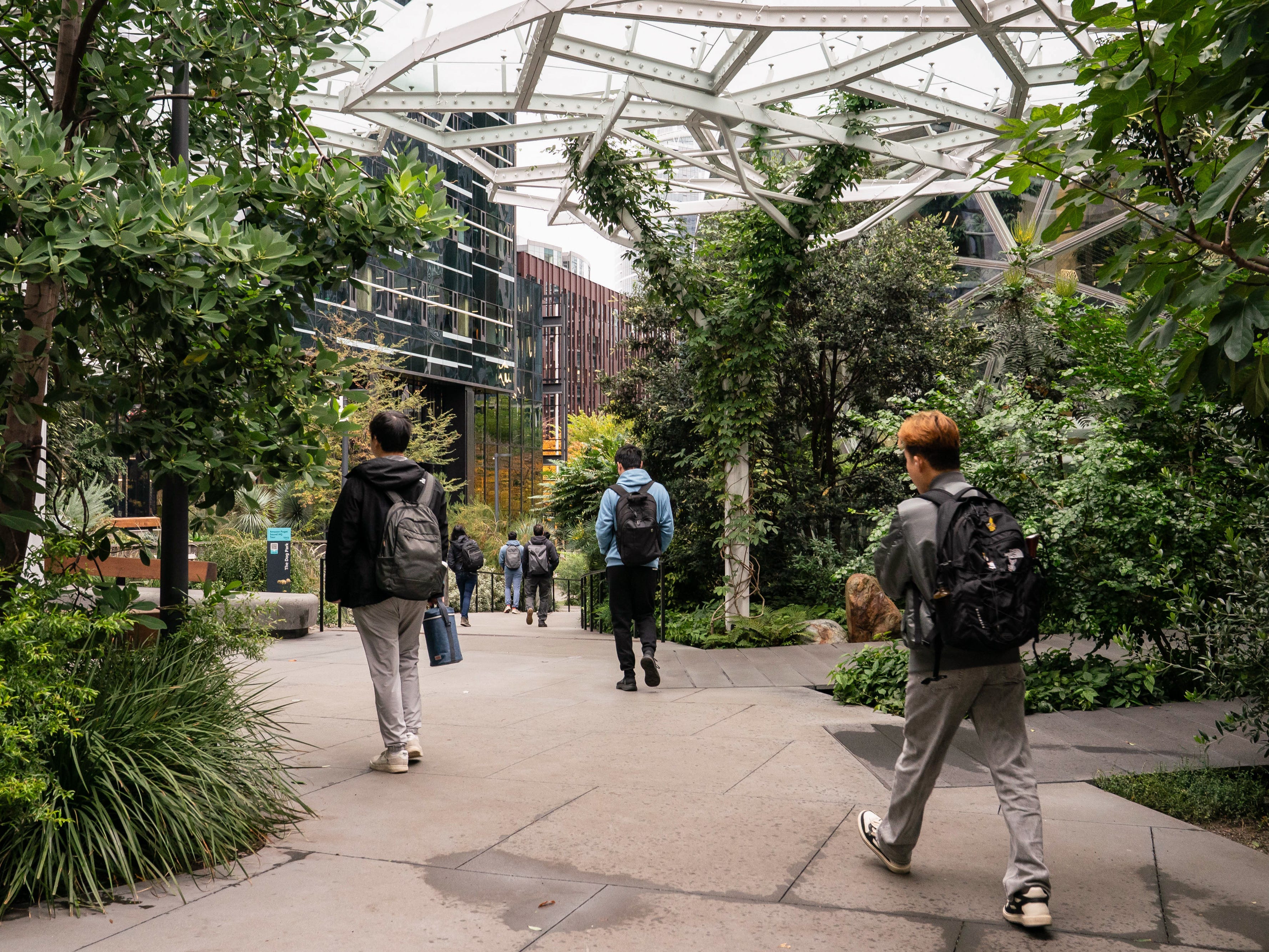 The new Amazon: How employees are navigating AI, RTO, and a shifting ...