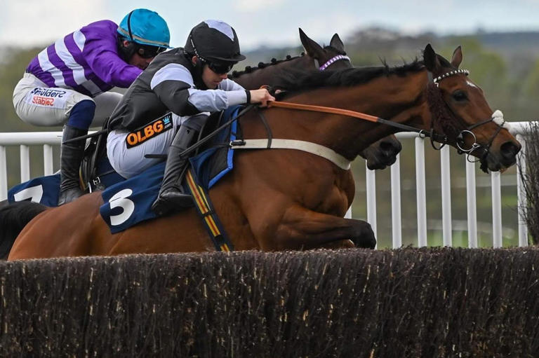 Kelso racehorse trainer Sandy Thomson keeps up winning streak at home ...