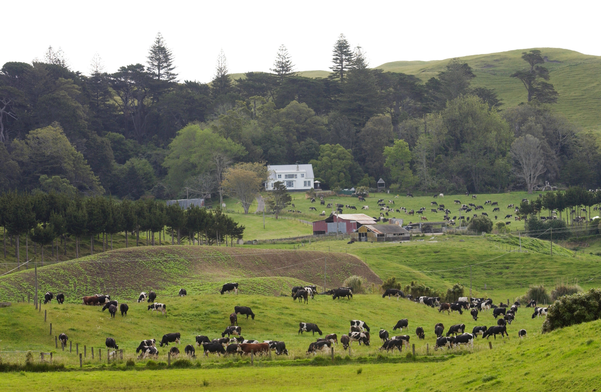 Safest countries in case of World War III