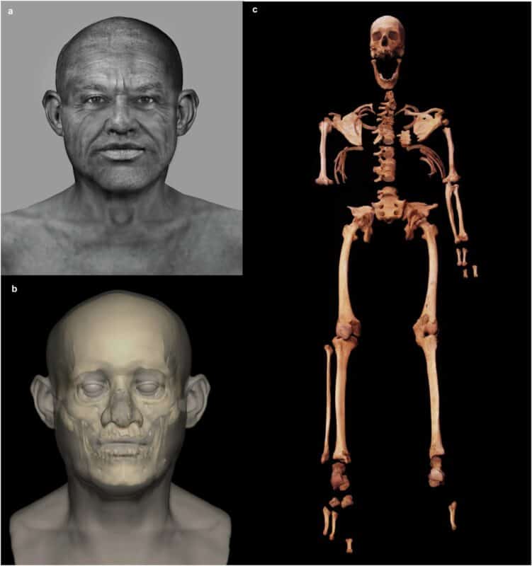 Scientists uncovered a genetic fusion between two ancient worlds in a ...