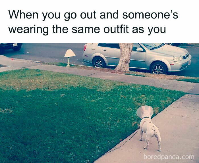 Awkward Animals: 48 Pics ‘For Animal Lovers Of All Kinds’