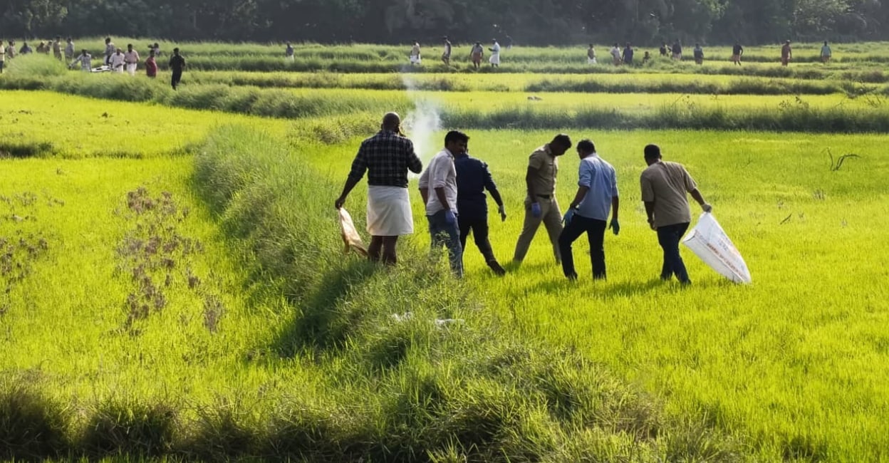 Paddy field turned into a graveyard in seconds, residents recount ...