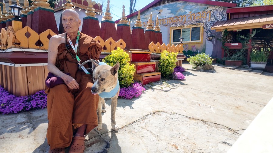 High Point monk adopts rescue dog during Walk for Peace