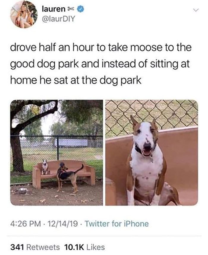 Awkward Animals: 48 Pics ‘For Animal Lovers Of All Kinds’