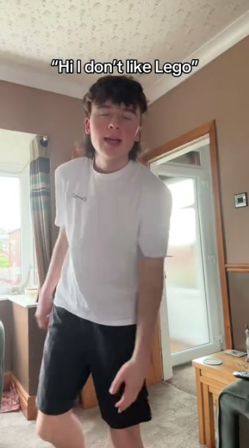 Say you hate LEGO, then this happens funny reaction