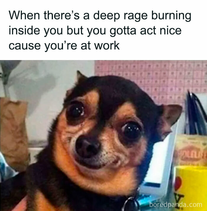 Awkward Animals: 48 Pics ‘For Animal Lovers Of All Kinds’