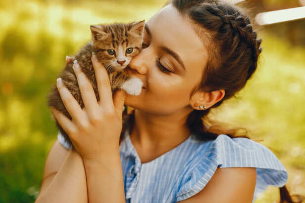 How cats choose their favourite person - science explains