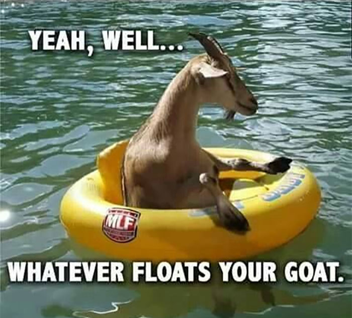 Awkward Animals: 48 Pics ‘For Animal Lovers Of All Kinds’